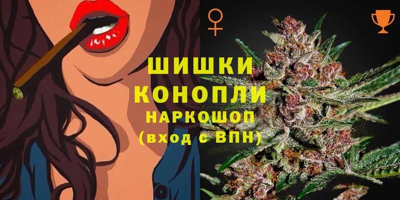 где можно купить наркотик  Мичуринск  Шишки марихуана OG Kush 